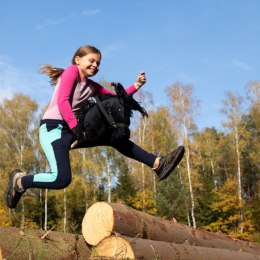 Kasztanowaty konik hobby horse duży A3 kantar HH