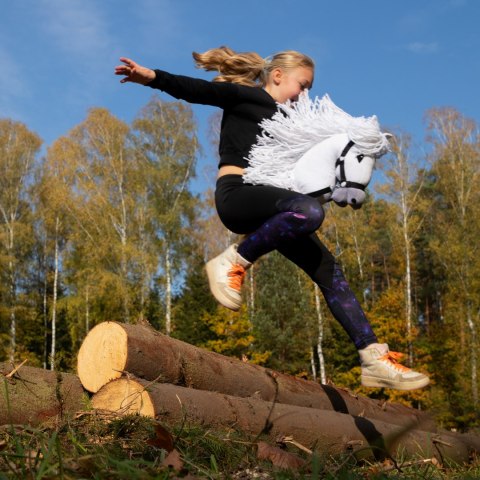 Kasztanowaty konik hobby horse duży A3 kantar HH Kasztanowaty konik hobby horse duży A3 kantar HH