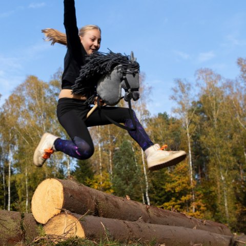 Kasztanowaty konik hobby horse duży A3 kantar HH Kasztanowaty konik hobby horse duży A3 kantar HH
