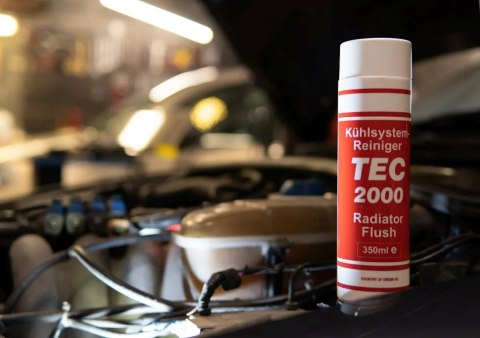 TEC 2000 DIESEL SYSTEM CLEANER TEC 2000 DIESEL SYSTEM CLEANER