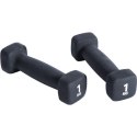 Pure2Improve P2I201390 Dumbbells, 2 pcs, 1 kg, Black, Neoprene