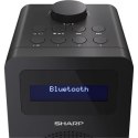 Sharp DR-430(BK) Radio cyfrowe, FM/DAB/DAB+, Bluetooth 5.0, nocna czerń