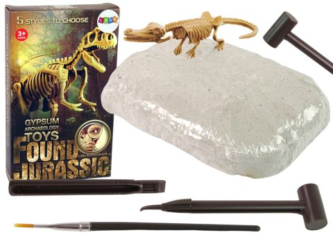 Zestaw Archeologiczny Wykopaliska Dinozaur Czaszkogłowy Zestaw Archeologiczny Wykopaliska Dinozaur Czaszkogłowy