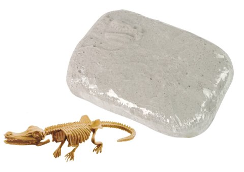 Zestaw Archeologiczny Wykopaliska Dinozaur Czaszkogłowy Zestaw Archeologiczny Wykopaliska Dinozaur Czaszkogłowy
