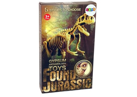 Zestaw Archeologiczny Wykopaliska Dinozaur Czaszkogłowy Zestaw Archeologiczny Wykopaliska Dinozaur Czaszkogłowy