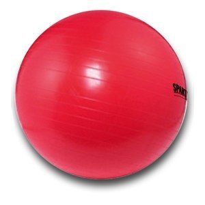 Piłka gimnastyczna SPARTAN 55 cm Piłka gimnastyczna SPARTAN 55 cm