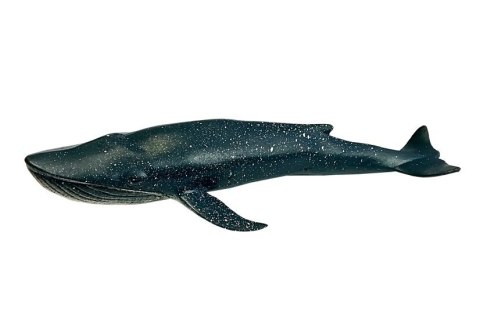 Zestaw Edukacyjny Zwierząt Morskich Figurki Delfin Pingwin Rekin Zestaw Edukacyjny Zwierząt Morskich Figurki Delfin Pingwin Rekin
