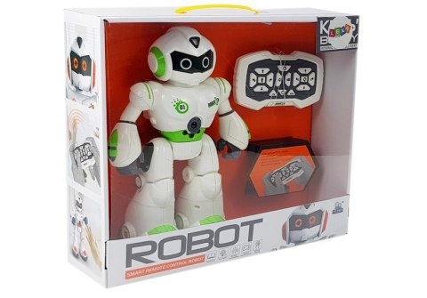 Robot Sterowany na Podczerwień Tańczy Chodzi Śpiewa Akcesoria Robot Sterowany na Podczerwień Tańczy Chodzi Śpiewa Akcesoria