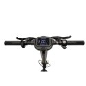Hulajnoga elektryczna marki Ducati PRO-II PLUS z kierunkowskazami, 350 W, 10", 6-25 km/h, czarna