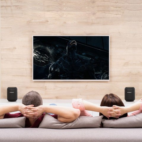 Bezprzewodowy głośnik Bluetooth Element T6 Max 60W czarny Bezprzewodowy głośnik Bluetooth Element T6 Max 60W czarny