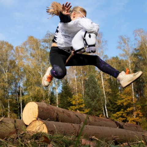 Czarny konik hobby horse duży A3 kantar kary HH Czarny konik hobby horse duży A3 kantar kary HH