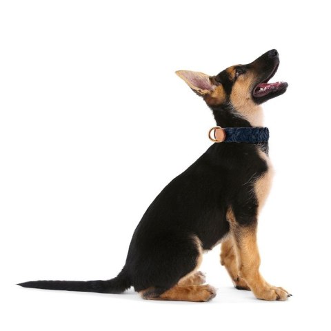 MODNA SKÓRZANA OBROŻA DLA PSA ROZM. S PETSOME PLECIONA 12P07S