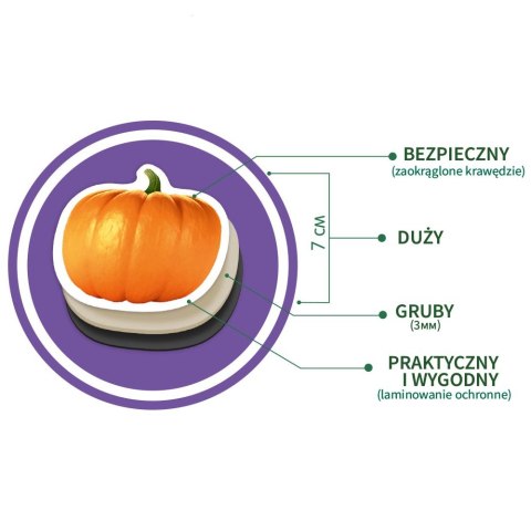 Zestaw Magnesów Owoce i Warzywa 50 sztuk MV 6032-42 Zestaw Magnesów Owoce i Warzywa 50 sztuk MV 6032-42