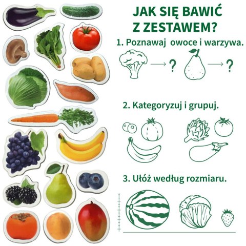 Zestaw Magnesów Owoce i Warzywa 50 sztuk MV 6032-42 Zestaw Magnesów Owoce i Warzywa 50 sztuk MV 6032-42