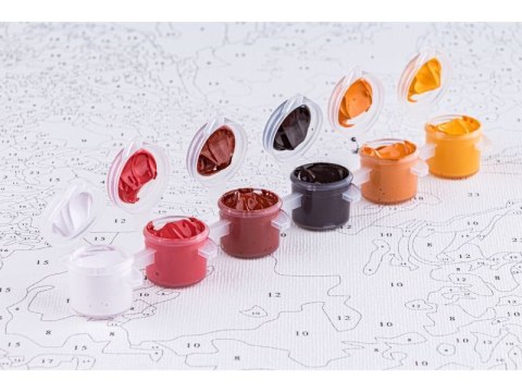 OBRAZ MALOWANIE PO NUMERACH RAMA 40x50cm JEZIORO ŁABĘDZIE