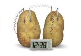Zestaw Kreatywny Eko Zegar z Ziemniaka POTATO