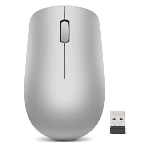 Lenovo Wireless Mouse 530 Optical Mouse, Platinum Grey, 2,4 GHz Wireless via Nano USB Lenovo Wireless Mouse 530 Optical Mouse, Platinum Grey, 2,4 GHz Wireless via Nano USB