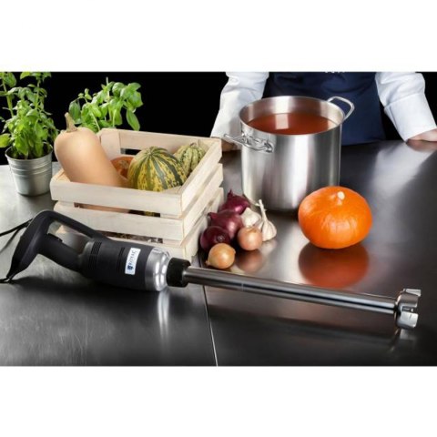 Mocny mikser blender robot ręczny dł. ramienia 300mm 500W 230V Royal Catering Mocny mikser blender robot ręczny dł. ramienia 300mm 500W 230V Royal Catering