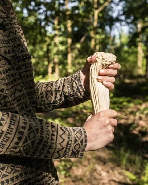 Antystresowy grzyb - ENOKI Antystresowy grzyb - ENOKI