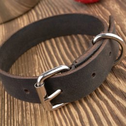 OBROŻA DLA PSA SKÓRZANA BRĄZOWA ROZM. S/M PETSOME 16P02S