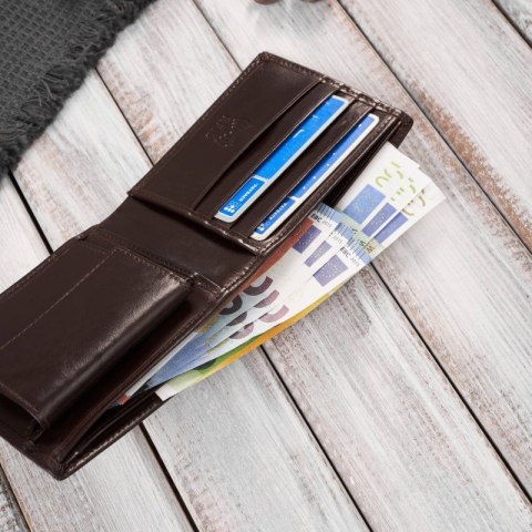 Elegancki portfel męski skórzany brązowy z ochroną RFID Paolo Peruzzi AY-11-BR Elegancki portfel męski skórzany brązowy z ochroną RFID Paolo Peruzzi AY-11-BR