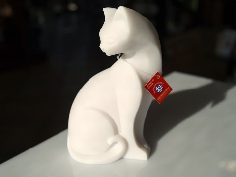 Kot duży Kot duży