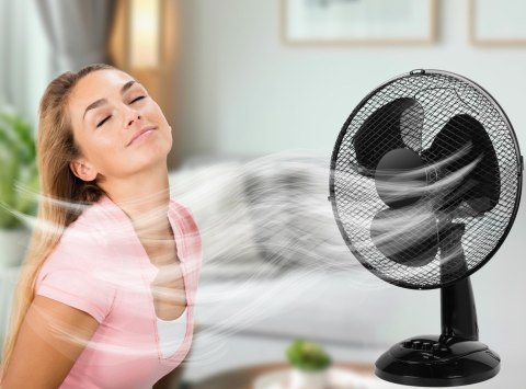 Wentylator biurkowy FRIO czarny Wentylator biurkowy FRIO czarny