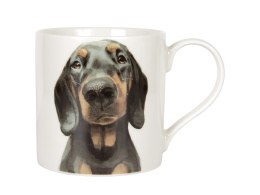 Kubek - Dachshund