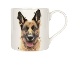 Kubek - German Shepherd