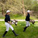 Konik na kiju z kantarem - Hobby Horse Skippi - Biszkopt - A3 - prezent