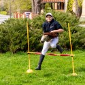 Konik na kiju z kantarem - Hobby Horse Skippi - Karmel - A3 - prezent