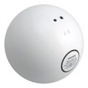 Kula do pchnięcia metalowa 2-6 kg - Legend Sport