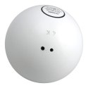 Kula do pchnięcia metalowa 2-6 kg - Legend Sport