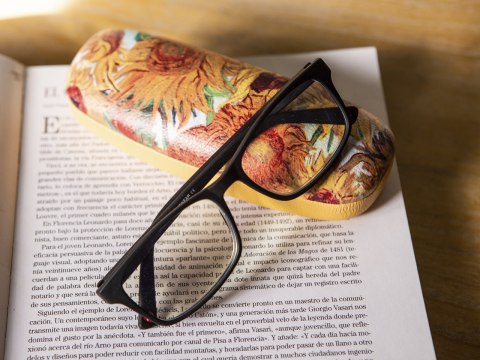 Etui na okulary - V. van Gogh, Słoneczniki (CARMANI) Etui na okulary - V. van Gogh, Słoneczniki (CARMANI)