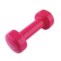 17023 CIĘŻAREK ŻELIWNY POKRYTY WINYLEM 1.5 KG