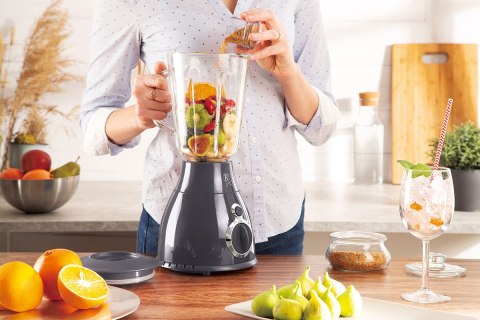 BLENDER KIELICHOWY MIKSER BERLINGER HAUS BH-9284 BLENDER KIELICHOWY MIKSER BERLINGER HAUS BH-9284