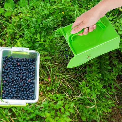 ZBIERACZKA GRZEBIEŃ DO ZBIERANIA JAGÓD BORÓWEK 489295 ZBIERACZKA GRZEBIEŃ DO ZBIERANIA JAGÓD BORÓWEK 489295
