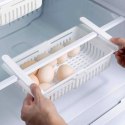 Organizer szufladka do lodówki zawieszana pojemnik rozsuwany pod półkę