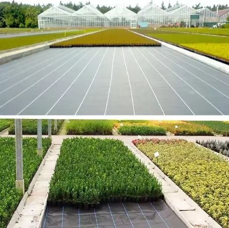 Agrotkanina czarna 100 cm x50m UV 70g antychwastowa agrowłóknina + kotwy Agrotkanina czarna 100 cm x50m UV 70g antychwastowa agrowłóknina + kotwy