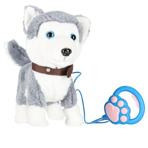 Piesek interaktywny na smyczy szczeka chodzi rusza ogonem Husky Piesek interaktywny na smyczy szczeka chodzi rusza ogonem Husky