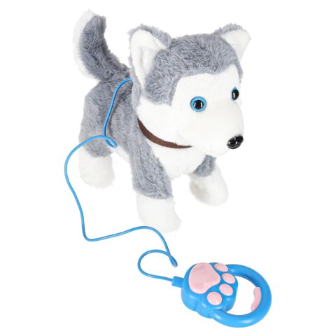 Piesek interaktywny na smyczy szczeka chodzi rusza ogonem Husky Piesek interaktywny na smyczy szczeka chodzi rusza ogonem Husky