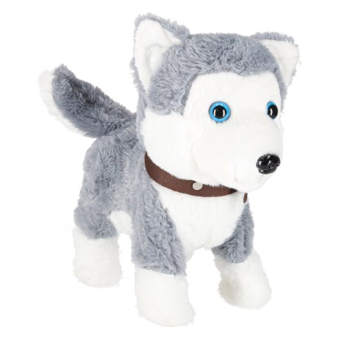 Piesek interaktywny na smyczy szczeka chodzi rusza ogonem Husky Piesek interaktywny na smyczy szczeka chodzi rusza ogonem Husky