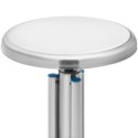 Taboret stołek laboratoryjny warsztatowy ze stali nierdzewnej 45-60 cm do 100 kg