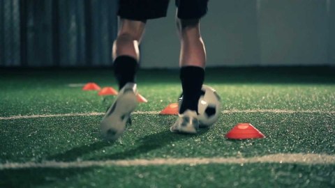 Stożki treningowe talerzyki | Zestaw 50 szt. na stojaku - Legend Sport Stożki treningowe talerzyki | Zestaw 50 szt. na stojaku - Legend Sport