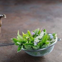 Sitko kuchenne stalowe z rączką okrągłe cedzak durszlak przesiewacz 10 cm