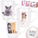 Kubki ceramiczne koty 220 ml 3 szt.