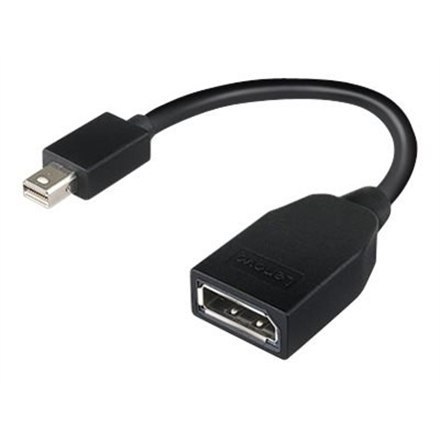 Lenovo Mini-DisplayPort to DisplayPort Adapter Lenovo Mini-DisplayPort to DisplayPort Adapter