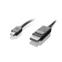 Lenovo mini-DisplayPort to DisplayPort Black, Cable, 2 m