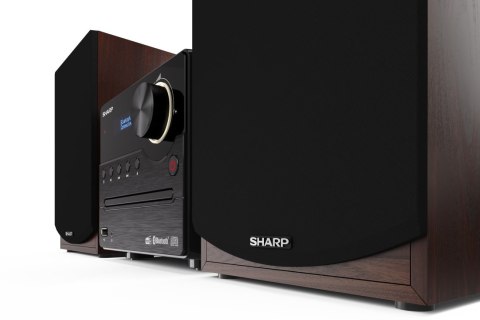 Mikrowieża Sharp Hi-Fi XL-B517D(BR) 45 W, połączenie bezprzewodowe, wejście AUX, odtwarzacz CD, Bluetooth Mikrowieża Sharp Hi-Fi XL-B517D(BR) 45 W, połączenie bezprzewodowe, wejście AUX, odtwarzacz CD, Bluetooth