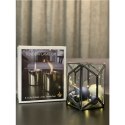 Tenderflame Gift Set, 2 Tabletop burners + 0,5 L fuel, Lilly 8 cm Gold